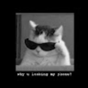 Meet your Posher, Julieta